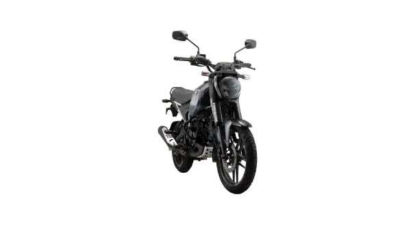 Bajaj Freedom 125 Pewter Grey